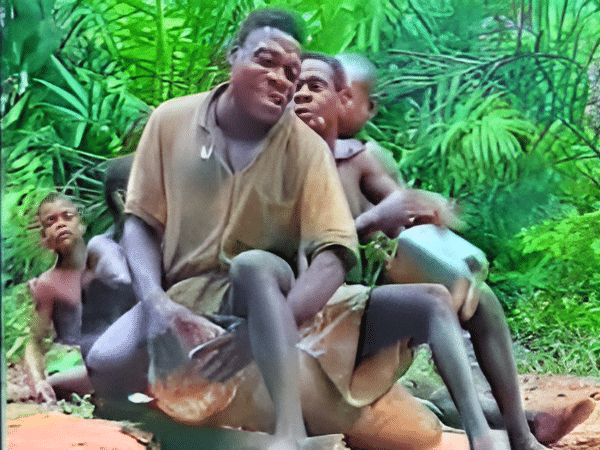 Reportage Association Musique & Exploration